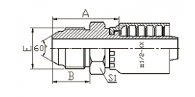 18611Y 日本公制外螺纹60°外锥面