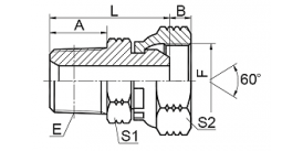 2NU 布锥管外螺纹 / 美制NPSM内螺纹60° 外锥