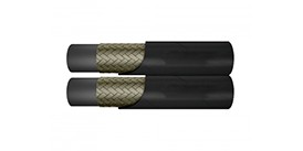 TGP12